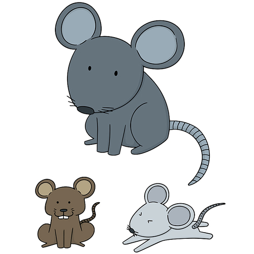 vector set of mouse