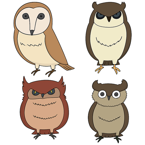 vector set of owls