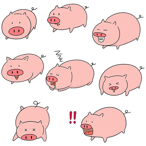 vector set of pig