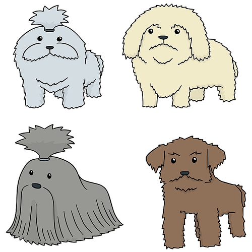 vector set of dog, shih tzu