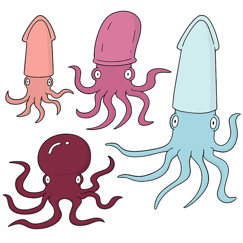 vector set of squids