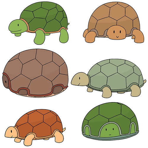 vector set of turtle