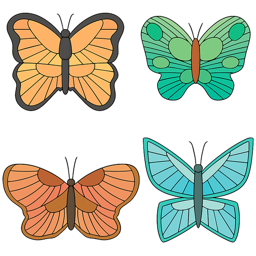 vector set of butterfly