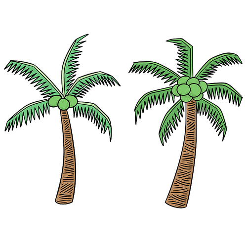 vector set of coconut tree