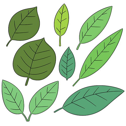 vector set of leaves