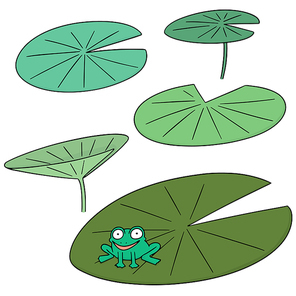 vector set of lotus
