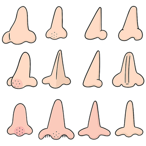 vector set of nose