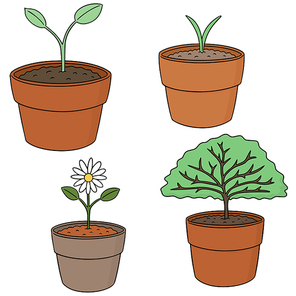 vector set of planting tree