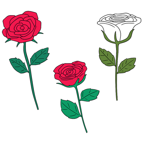 vector set of rose