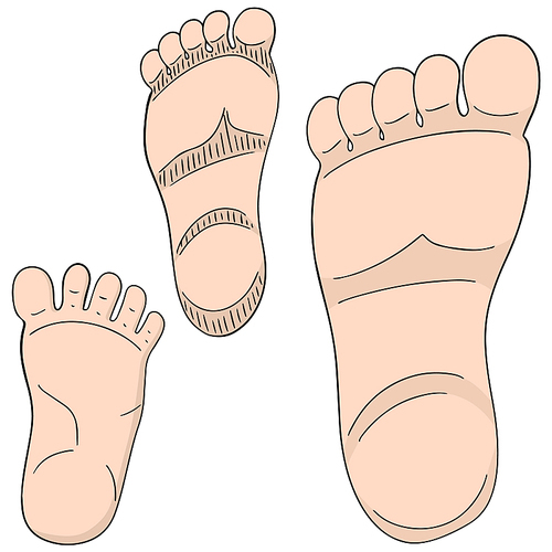 vector set of foot sole