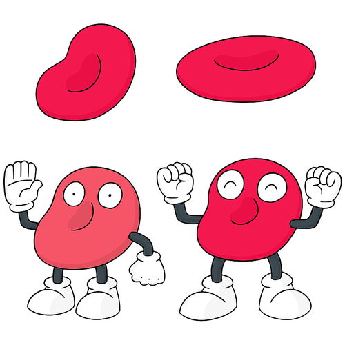 vector set of red blood cell