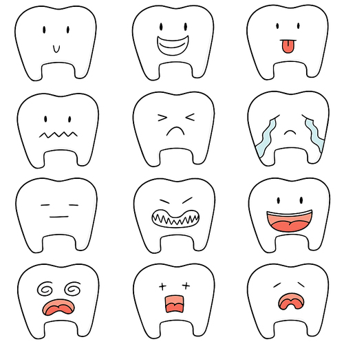 vector set of tooth