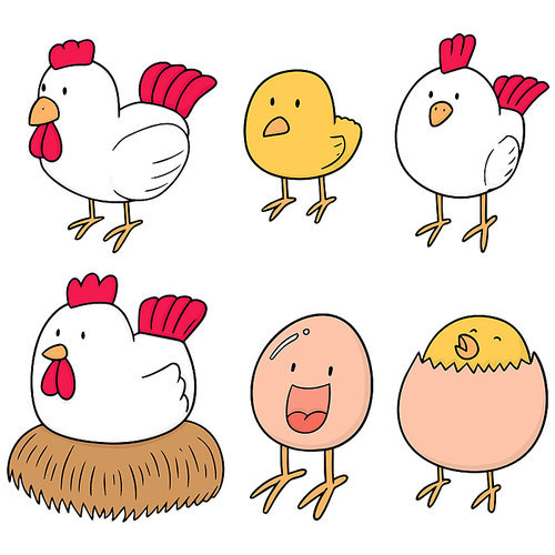 vector set of chicken and egg