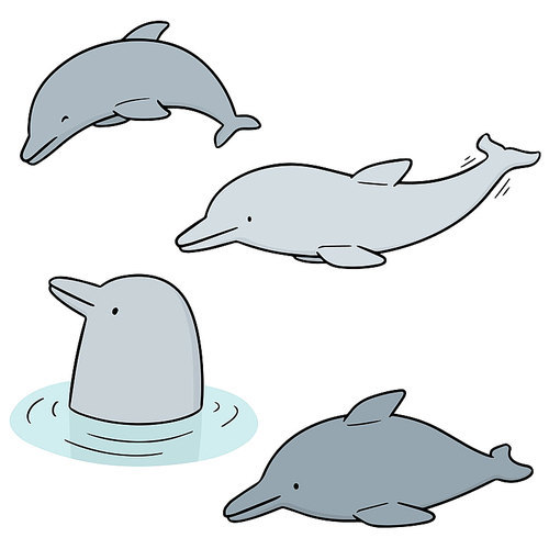 vector set of dolphin