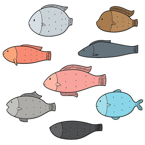 vector set of fish