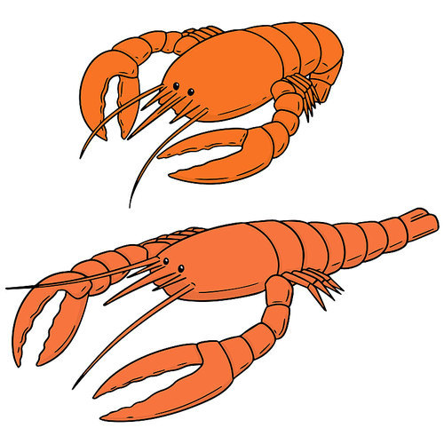 vector set of lobster