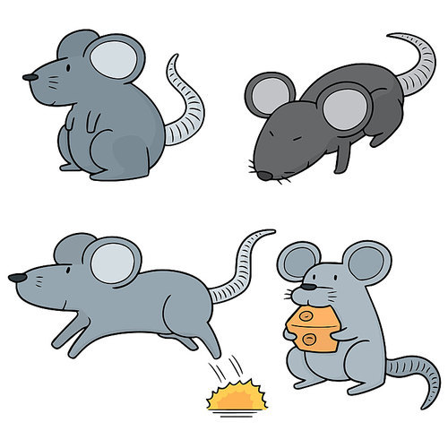 vector set of mouse