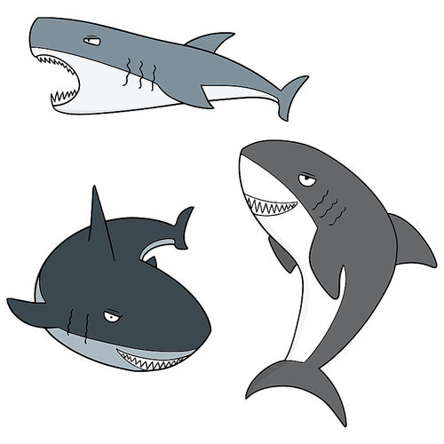 vector set of sharks