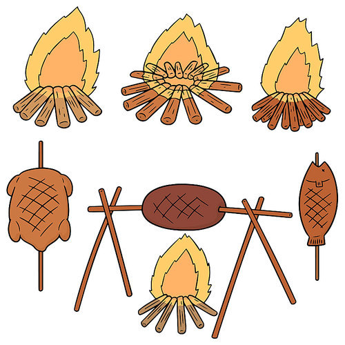 vector set of bonfire and grilled food