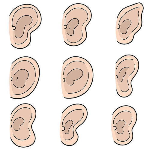 vector set of ear