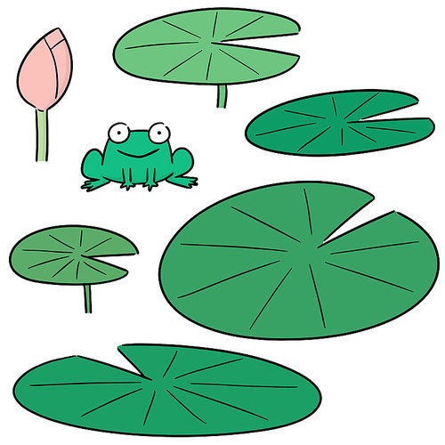 vector set of lotus