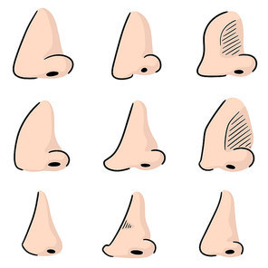 vector set of nose