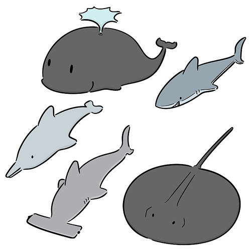 vector set of aquatic animal