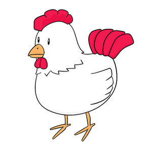 vector of chicken