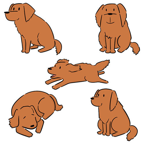 vector set of dog, golden retriever