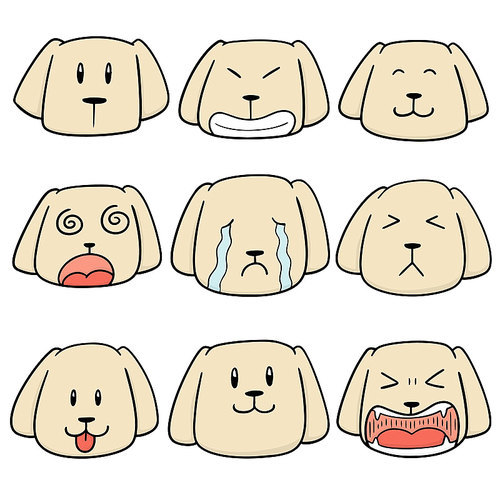 vector set of dog face