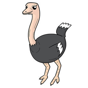 vector of ostrich