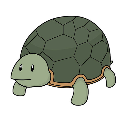 vector of turtle