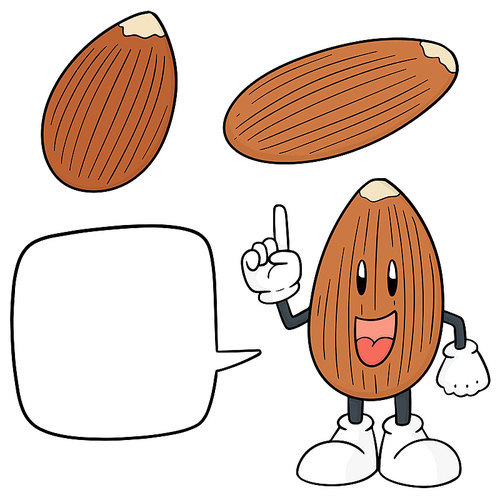 vector set of almond