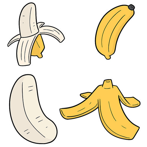 vector set of banana