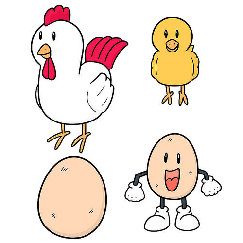 vector set of chicken and egg