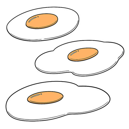 vector set of fried egg