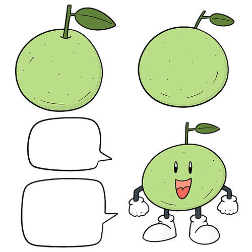 vector set of guava