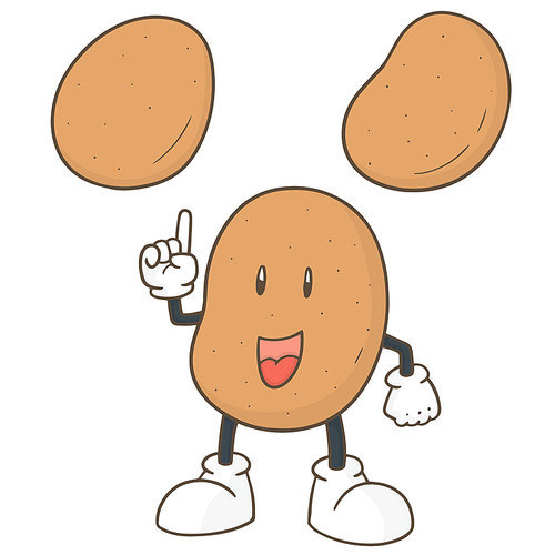 vector set of potato