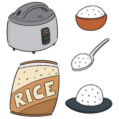 vector set of rice