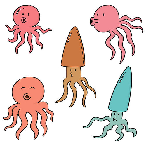 vector set of squids