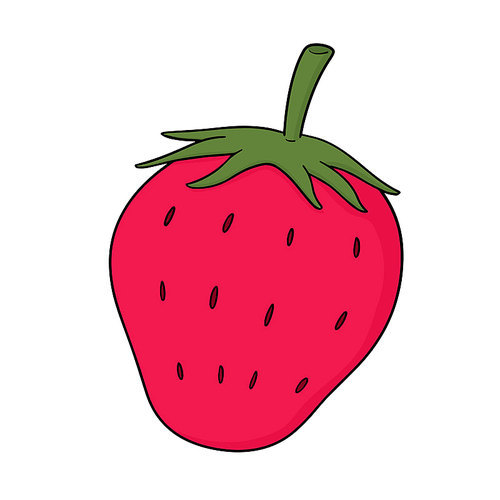 vector of strawberry