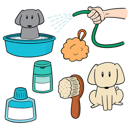 vector set of dog shower