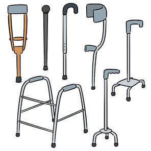 vector set of walking stick