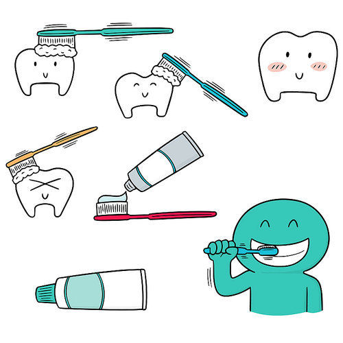 vector set of teeth