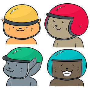 vector set of cat wearing helmet