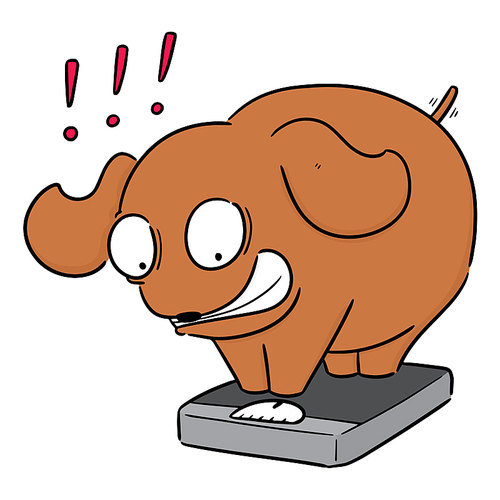 vector of dog on weighing machine