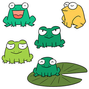 vector set of frog