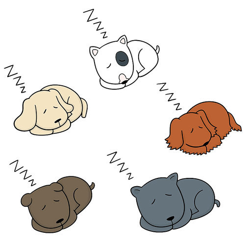 vector set of dog sleeping
