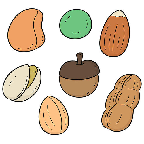 vector set of beans