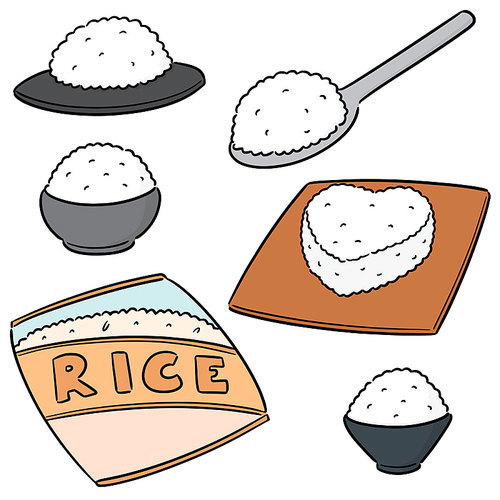 vector set of rices